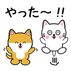 豆いぬと白いねこ1