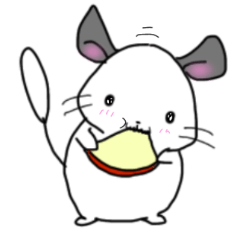 ちんまり チラッと チンチラちゃんスタンプ