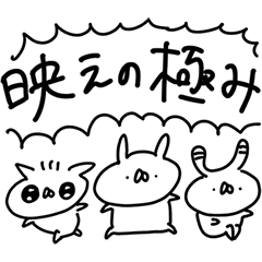 うさぎ帝国 〜映え〜