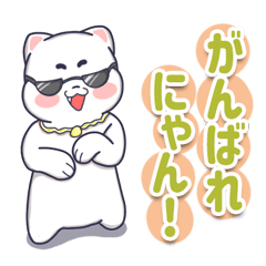 ねこのまるちゃん！