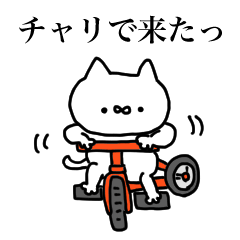 イキってしまうネコ