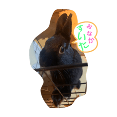 うさぎのノアくんスタンプ
