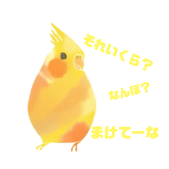 関西弁を喋る文鳥