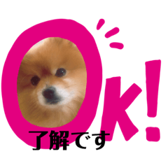 クリちゃんの日常会話