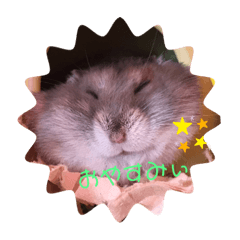 ハムハムハムっこ