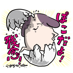 ぽこのすけーその５ー