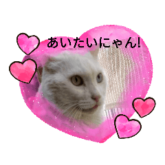 レイ王子のにゃんにゃんスタンプ