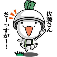 目上の佐藤さんに！