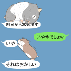 吹き出し with ハムスター