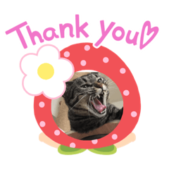 ゆうあや猫スタンプ