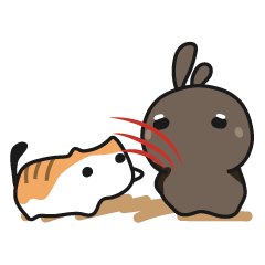 rabbit staring with cat - Taiwan trip