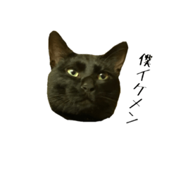 黒猫のジッくん