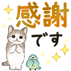 文字大きめ☆猫たちのスタンプ