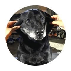 Anita_20210620231031