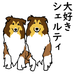大好き! シェルティ12