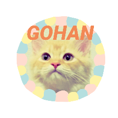 くりむすたんぷ #2