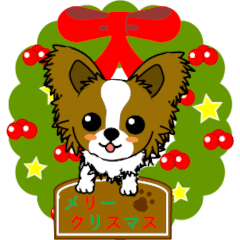 動く！パピヨンの[Xmas & 年末年始]