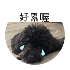 CHIEN_20211012030416