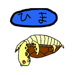 多分ゆるいかめ