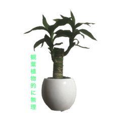 便利な観葉植物スタンプ