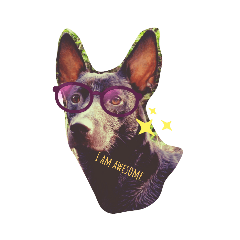 loulouwang_20220128122511