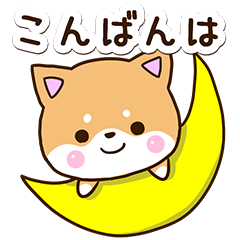 おちゃめな柴犬