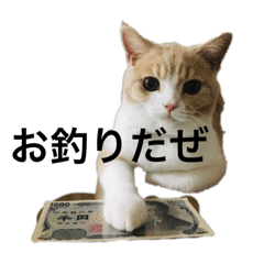 まろスタンプず