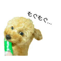 めいぷるくんスタンプ