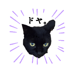 ボーちゃんスタンプ 〜いつでも使える〜