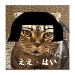 チリフチすたんぷ