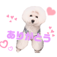 ゆきさまとおともだち