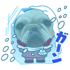 フレブル金仙兄弟