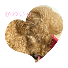 毎日使えそうなニコエルベリーのスタンプ