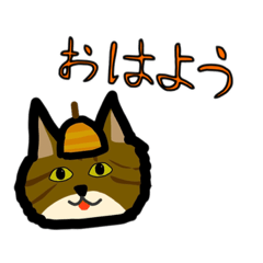 どんくりきゃっと