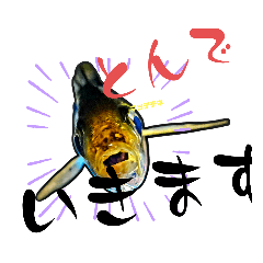 真田釣大変記アジンガーの気持ち3