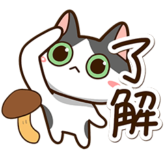 ハチワレぶち【秋】