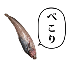 さかな　深海魚　と　ふきだし