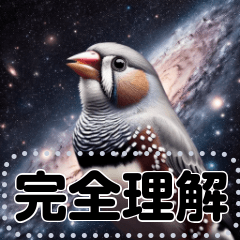 キンカチョウのメッセージスタンプ