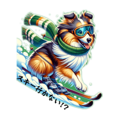 シェルティーからのメッセージ2