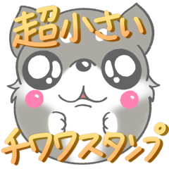 超小さい☆ 表情豊かなわんぱくチワワ♡