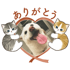 犬が好きだから作りましたー