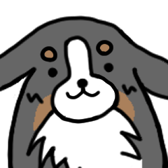 バーニーズとハスキー