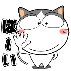 ハチワレ猫★見やすいデカ文字