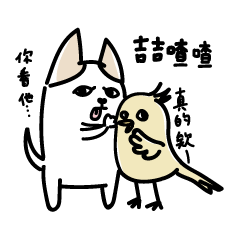 chihuahua chill life(2024 LET'S DRAW)