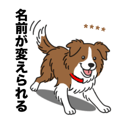 名前入りボーダーコリーブラウン