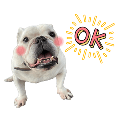 トビーさんスタンプ