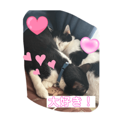 ソルトandカンカン  スタンプ！！