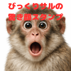 リアルすぎる！びっくりサルスタンプ