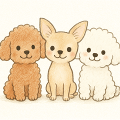 ふわふわ小型犬のなかまたち