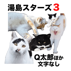 湯島スターズ3＠熊日猫島（文字なし）